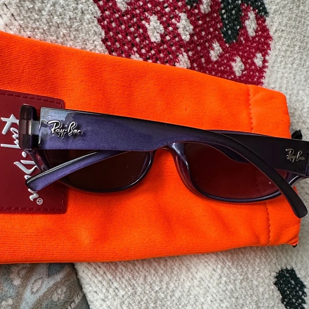 Ray-Ban Plum Frame Sunglasses with Orange Soft Pouch